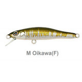 X-55 (F) mg oikawa
