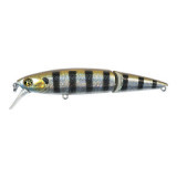 Tantalisa 85jf sr #r007