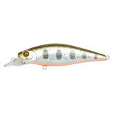 Sapshad 90f sr #050