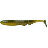 ammoniteshad 3 #noike gill