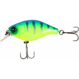 10cc floating #blue back tiger