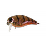 chubby ssr38 #brown suji shrimp