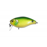 cherry 1 footer #noike green