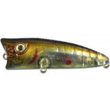 ZBL popper #541