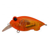 baby griffon 37f #salmon egg