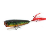 hikari pop 3d 65f #lemon green tiger