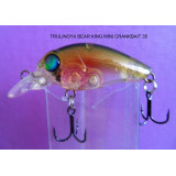 bearking mini crank bait 