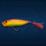 kurappi pop 65f#hot tiger