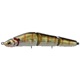 brigante 110 #09-gill