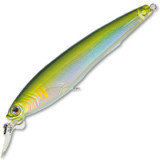 3d minnow 100sp r725 #may