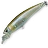 arms minnow 55sp f312 #gsay