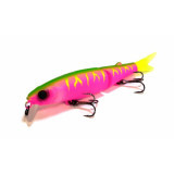 tiny magallon 88sp #dragon fruit