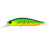 Rozante 63sp mat tiger