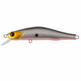 TsuYoki Watson 80sp #268R