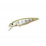 greedy guts 44sp-mdr #404