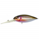 Deep-X 300 wagin kawamutsu